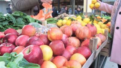 Dubrovnik Market Tour